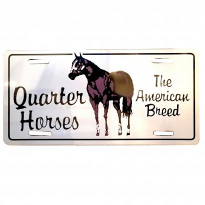 QUARTER HORSES
